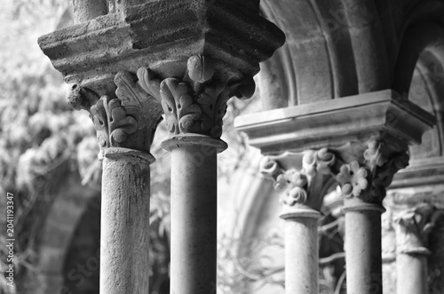Fontfroide abbey columns black and white image