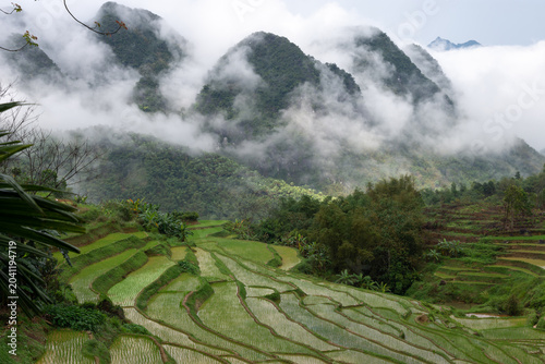Rizières de Pu Luong au Vietnam