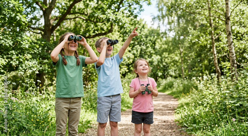 Fototapeta premium Three children birdwatching with binoculars in a forest. Kids exploring nature on a woodland trail