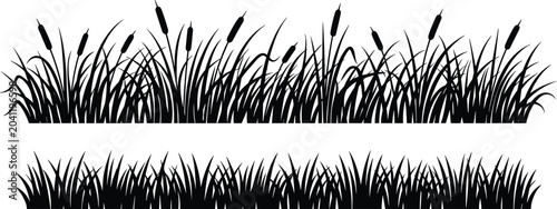 Photos Black silhouette vector illustration of meadow grass and cattail reeds horizonta
