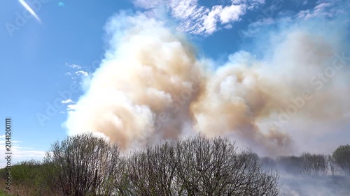 Prairie fire. Grassy-shrubby spaces are engulfed by fire during dry season. Climate change leads to increased droughts and disasters. Colored fumes and steam rises from burnt grass, plume of pollution
