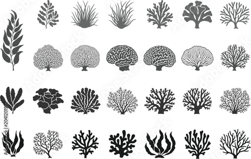 Photos Marine life collection diverse coral and seaweed silhouettes