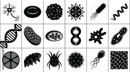 Bild auf Leinwand Microscopic biology silhouette collection with cells, microorganisms, DNA, organ