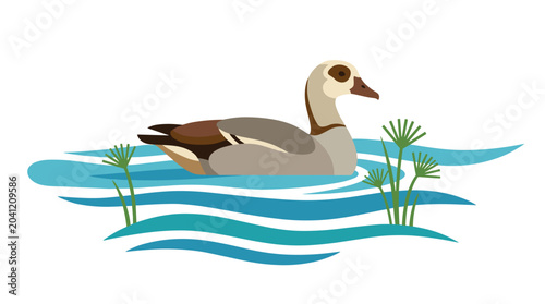 An Egyptian goose glides through Nile waters, a riverine bird, a wild feathered creature from Egypt, the African Alopochen aegyptiaca, depicted as a flat vector illustration against a white