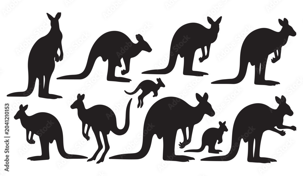 Obraz premium Kangaroo Silhouettes Set - Various Poses Vector