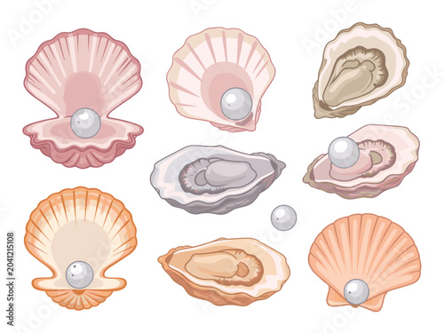 Canvastavla Assorted Seashells and Pearls on White Background oyster