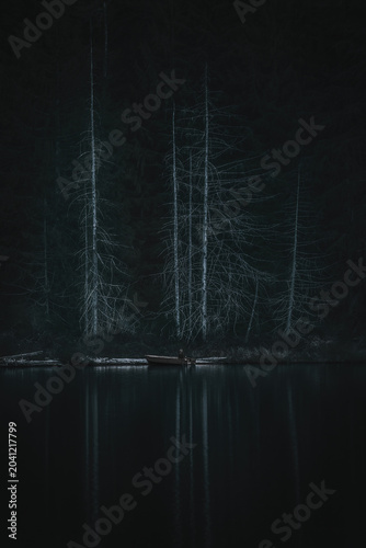 Fisherman In The Dark