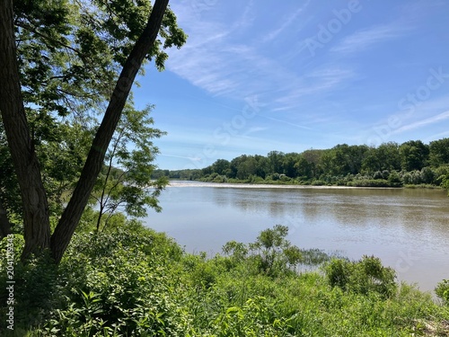 scenic river view in spring
