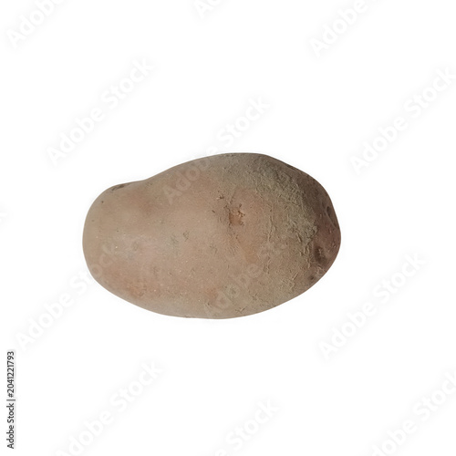 Slika na platnu One fresh raw brown potato vegetable isolated for cooking and healthy food nutri
