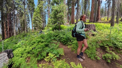 Couple Hikes Through Lupine and Sequoias in Early Summer
