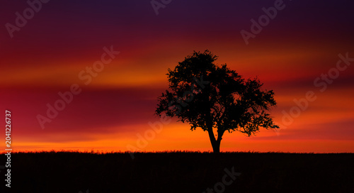 Foto Silhouetted beautiful lone tree over glowing orange red sky at dusk after sunset