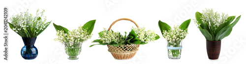 Foto Lily of the valley bouquets isolated on white, set