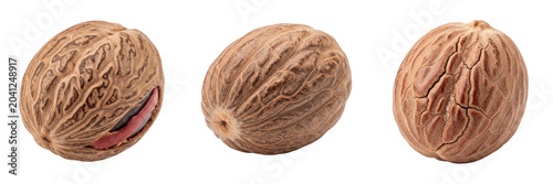 Canvas Print Set and Collection of Whole Raw Nutmeg Spice - Culinary Graphic Element for Cook