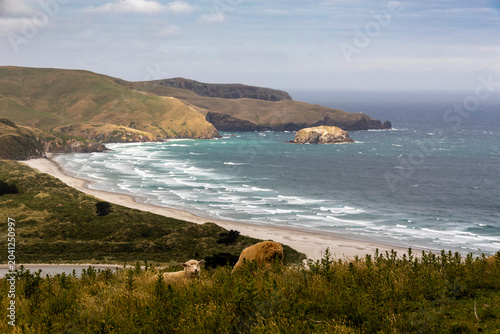 Foto Sandymount Viewpoint, near Dunedin, New Zealand