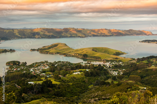 Photography Portobello Harbour, near Dunedin, Otago, New Zealand