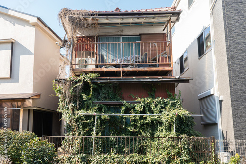 蔦に覆われた古い空き家と老朽化した住宅