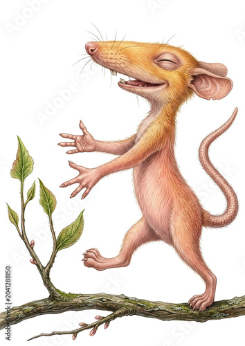 Rat - sleepwalker walks on a branch. Realistic drawing of an animal. Illustration for children.