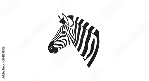 Photography Black and white zebra head profile.