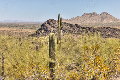 Tablou pe pânză Picaacho Peak State Park, Arizona