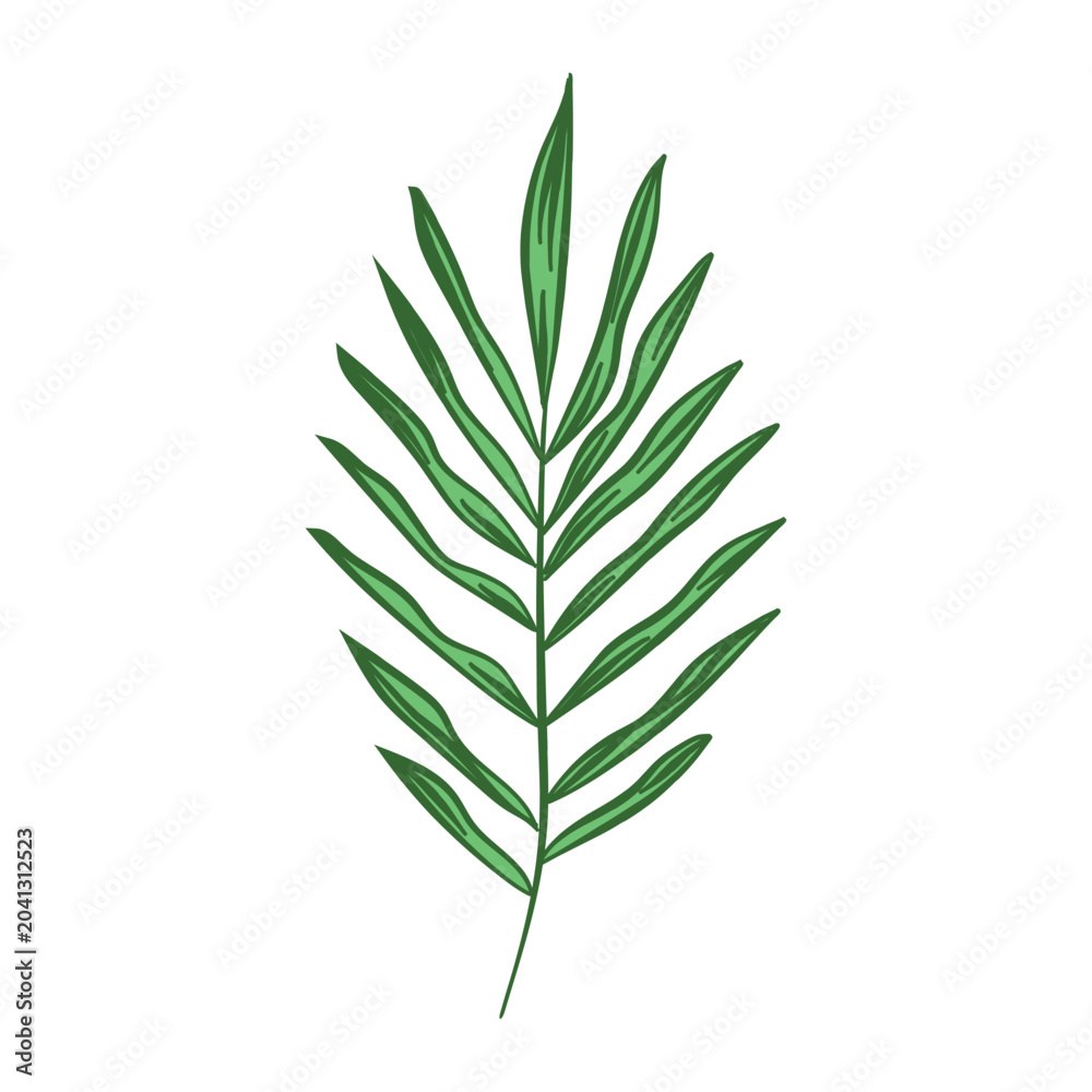 Fototapeta premium Detailed hand drawn palm leaf for palm sunday
