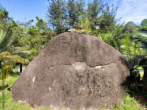 Photography . Granite Rock in Lush Rainforest Landscape in at Kepong Botanic Gardens  (Taman