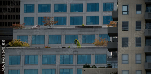 Rooftop Gardens and Modern Buildings in Downtown Seattle