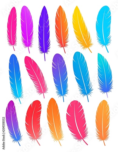 Colorful feathers in various hues displayed.