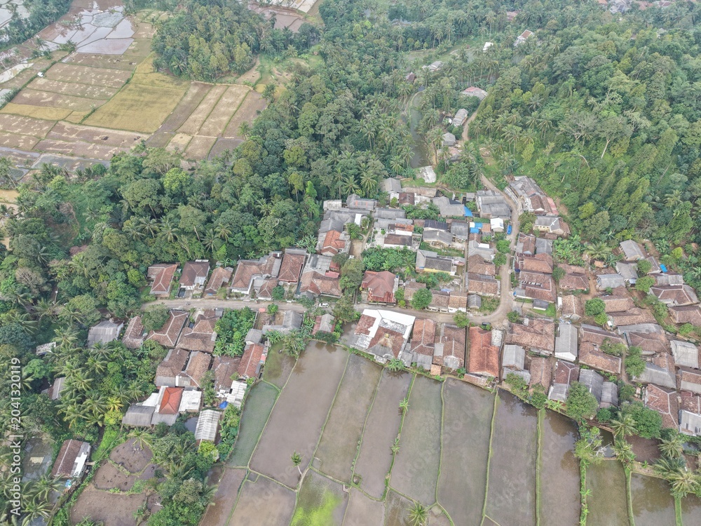 Fototapeta premium Aerial Panorama of Village Amidst Rice Fields and Forest