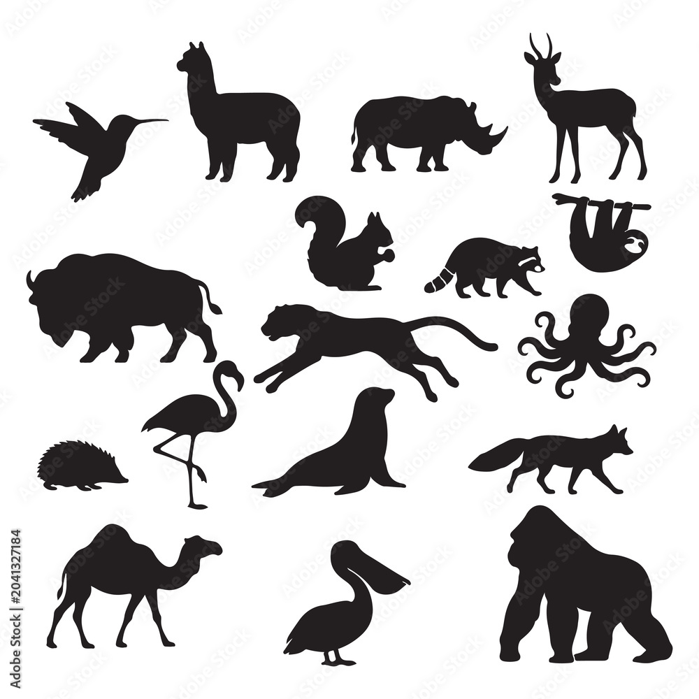 Obraz premium Exotic Wildlife Animal Silhouette Collection Isolated on White Background Vector Set