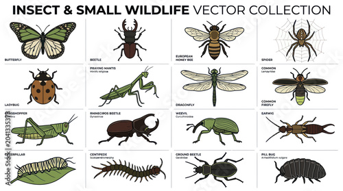 Quadro su tela Insect and Small Wildlife Vector Collection: Butterflies, Bees, Beetles, Spiders