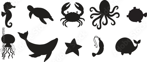 Photos Underwater sea creatures silhouettes