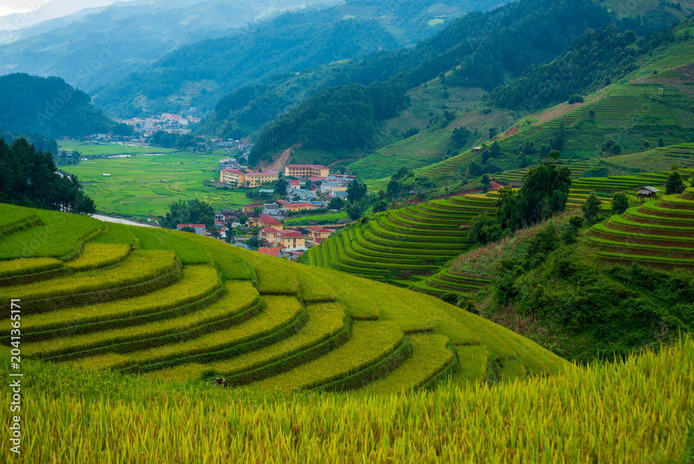 Obraz premium Rice terrace Field Green agriculture eco Sustainability background. Ecosystem rice paddy field Vietnam green farm nature brook. Golden green rice terraces in tropical natural sunrise. terrace Field