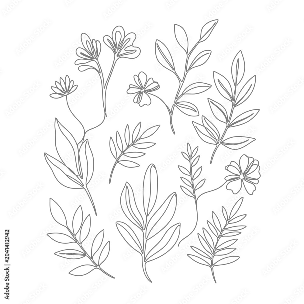 Fototapeta premium Minimalist Floral Line Art: Botanical Illustration Set on White