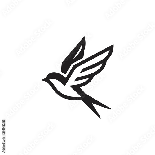 Black and white bird in flight.