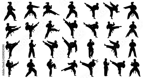 Fotografía Martial arts silhouettes in various poses.