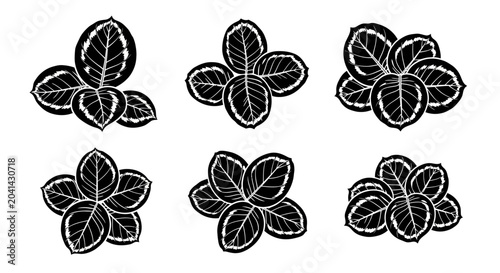 Monochromatic Leafy Plant Clipart Set, Botanical Illustration