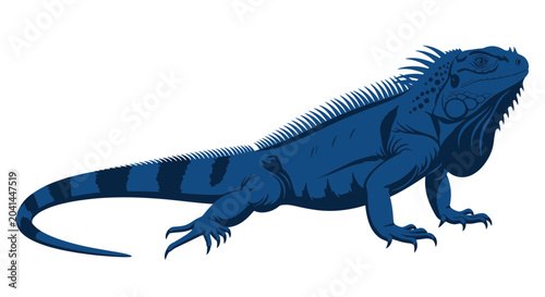 Fotografi Large Blue Iguana Reptile Animal.