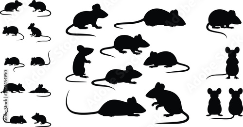 Photos Silhouettes of mice in various poses, black figures on white background, animal