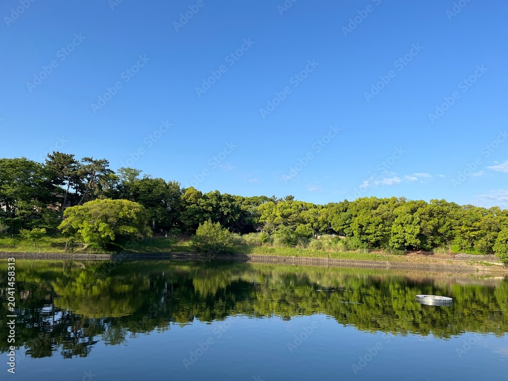 Fototapeta premium Green Forest Reflected on a Calm Lake Under Blue Sky