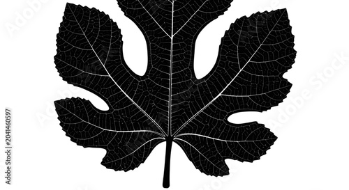 Tableau sur toile Large Black Leaf Silhouette Closeup.