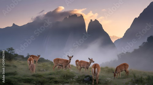 Mystical Landscapes of the Rwenzori Mountains, with deer in the morning. A mountain landscape in the morning.