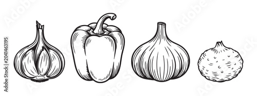 Obraz na płótnie Set of hand drawn various vegetables isolated on white background with garlic pepper and root vegetable