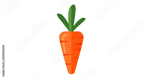 Photos Fresh orange carrot vegetable root 2.