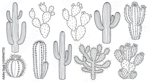 Billede på lærred Various types of cactus plants.