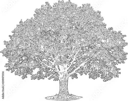 Black and white of a tree with intricate branches and foliage