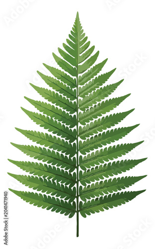 Bilde på lerret Botanical green fern leaf vector illustration, realistic forest foliage plant el