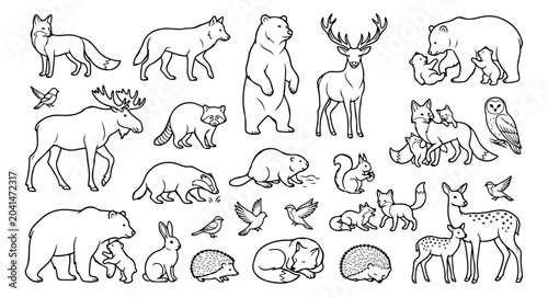 Obraz na plátne Minimalist woodland animal line art collection, hand drawn forest wildlife vecto