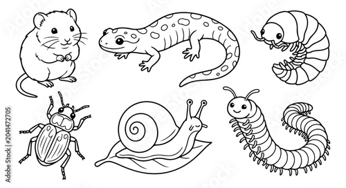Cuadro en lienzo Cute forest animals and insects coloring page vector, hand drawn garden creature