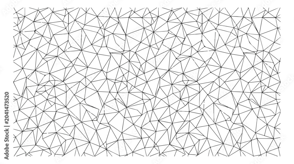 Obraz premium Geometric low poly wireframe background, abstract black and white mesh vector, minimalist plexus network pattern for technology and data design
