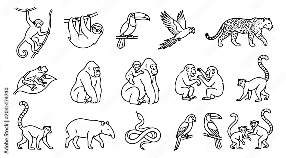 Obraz premium Tropical jungle animals line art collection, 15 black and white wildlife vector icons, exotic rainforest fauna illustrations for coloring